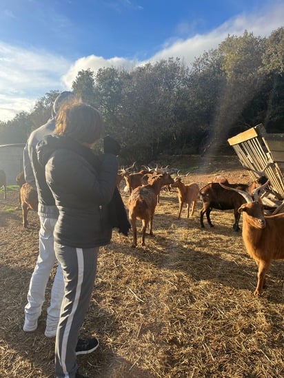 chevre residents.jpg