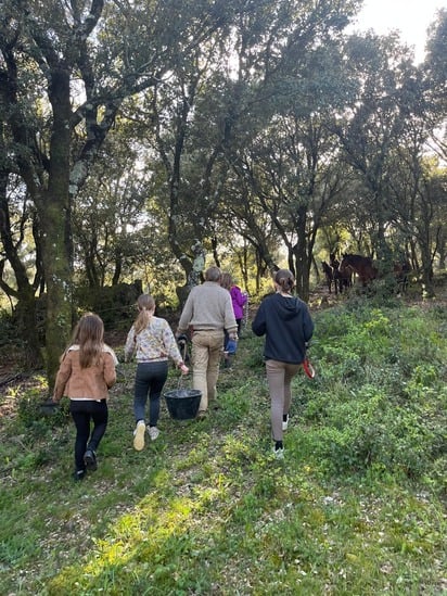 file serge ration.jpg