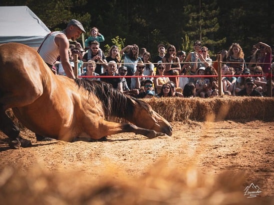 lib atlas couche spectacle.jpg