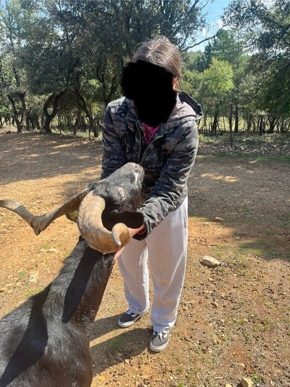 mediation chevre.jpg