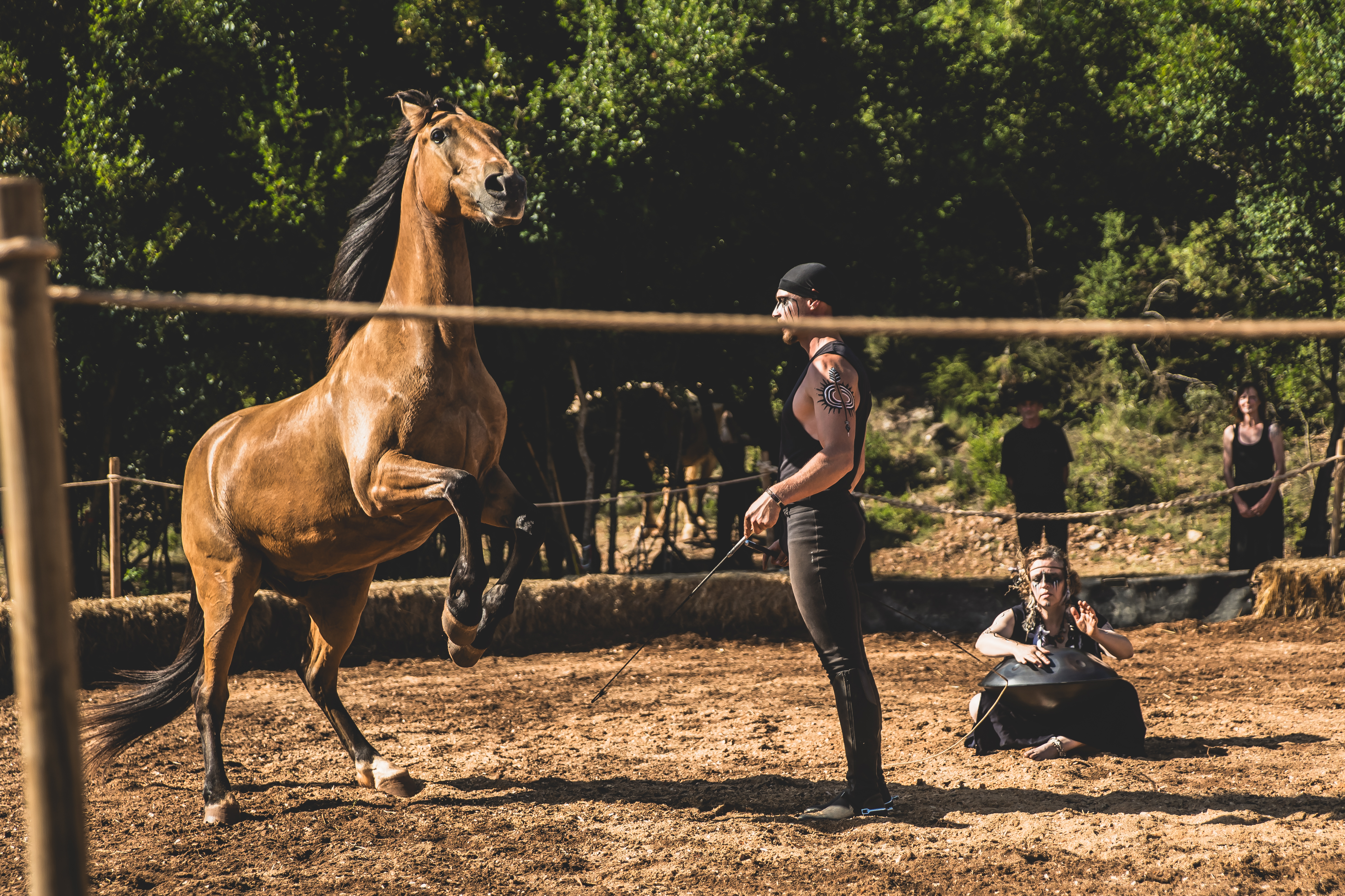 la navette express-209.jpg